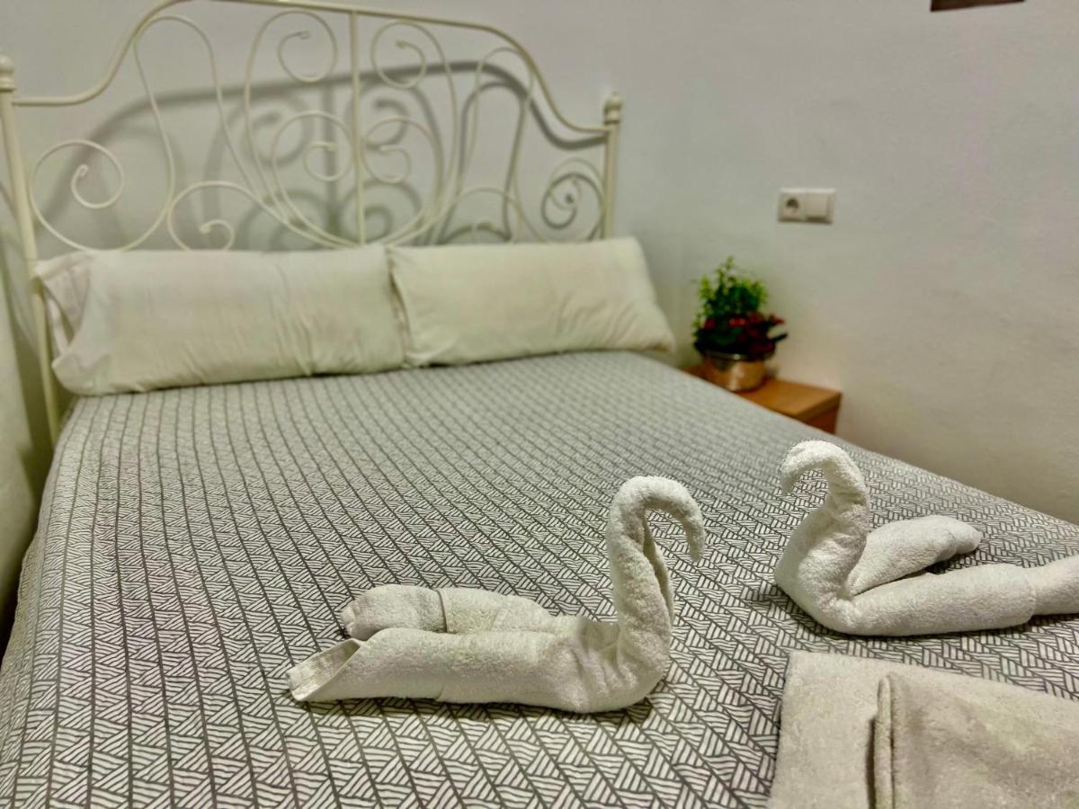 Loft Apart&hostal Auberge de jeunesse Lloret de Mar